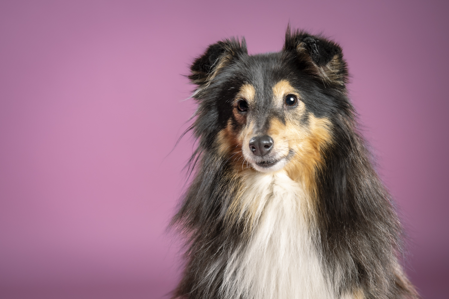 Valokuvaamo Joensuun keskustassa -kuvia arkeen ja juhlaan